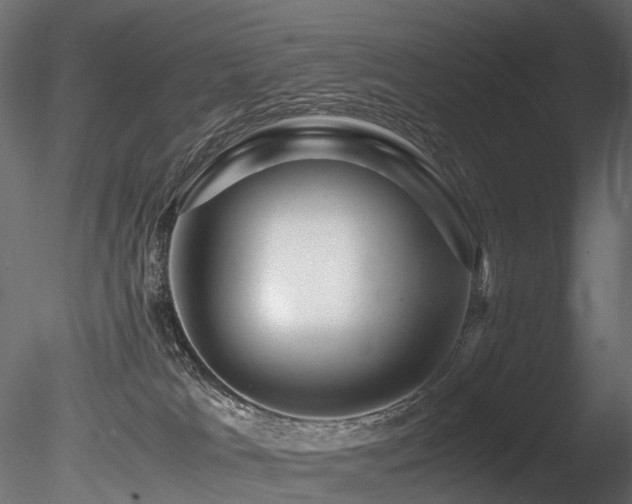 X0000085840037200703161403