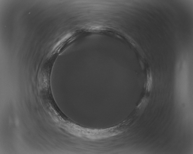 X0000085840039200703161403