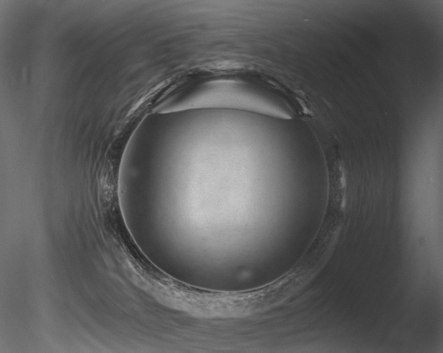 X0000085840040200703161402