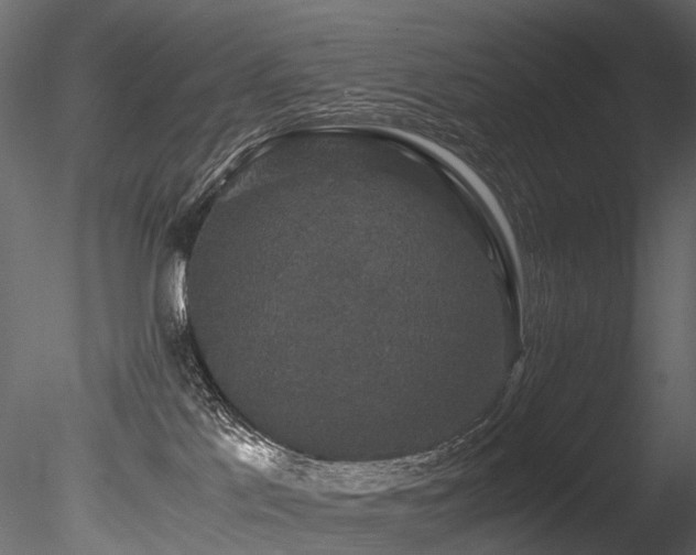 X0000085840041200703161402