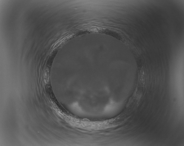 X0000085840043200703161402