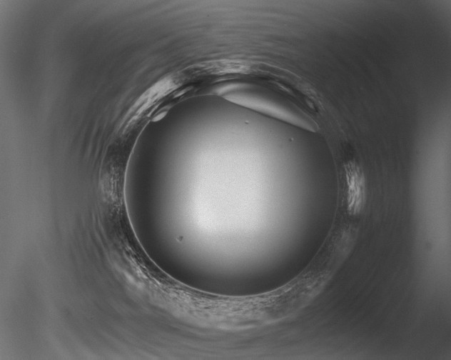 X0000085840044200703161402