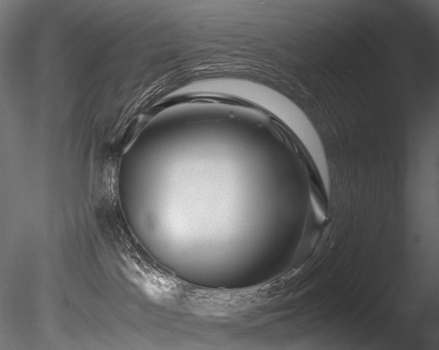 X0000085840045200703161402