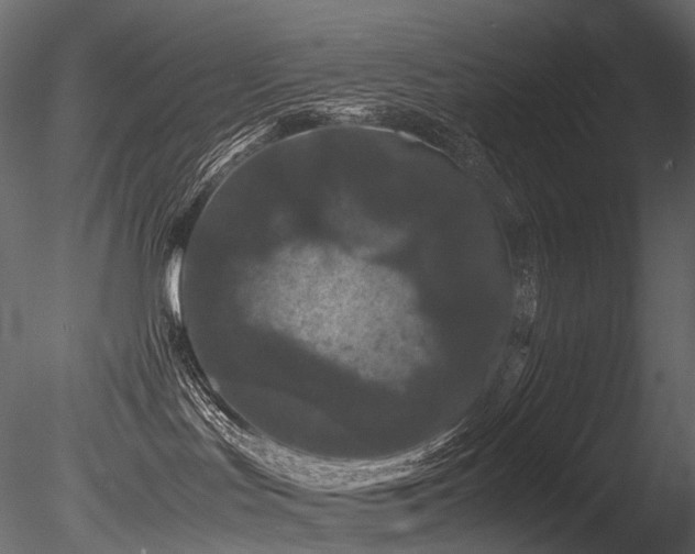 X0000085840047200703161402