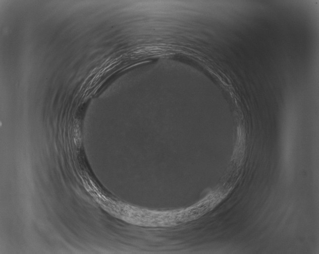 X0000085840048200703161402