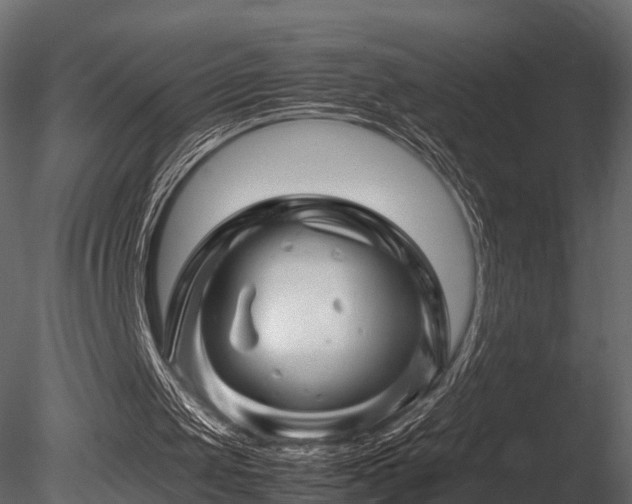 X0000085840049200703161401