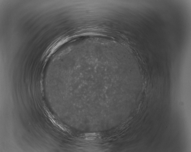 X0000085840050200703161401