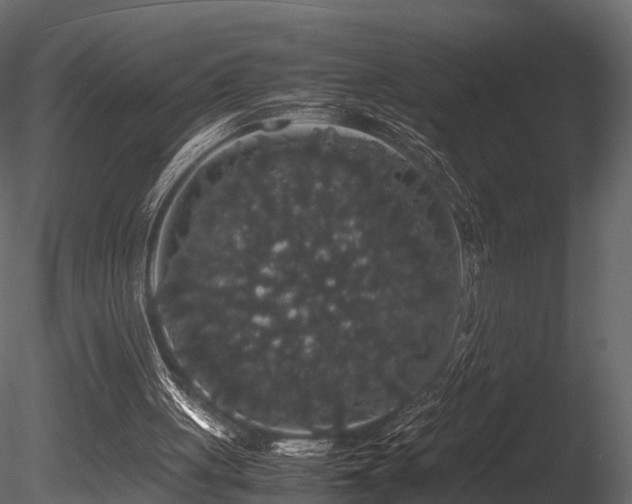 X0000085840051200703161402