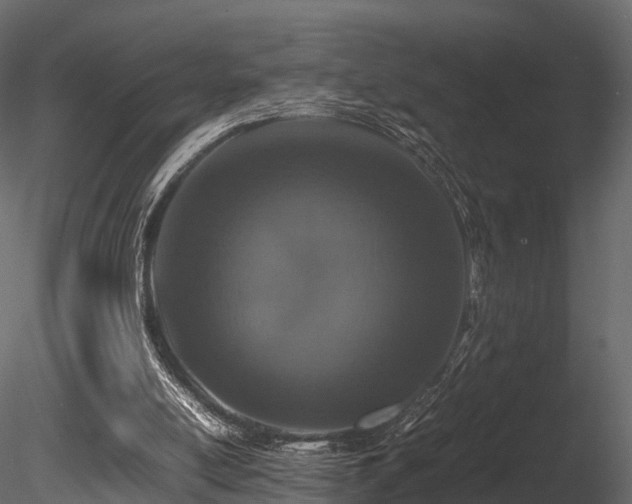 X0000085840054200703161402