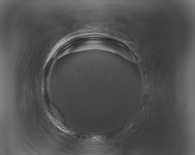 X0000085840056200703161402