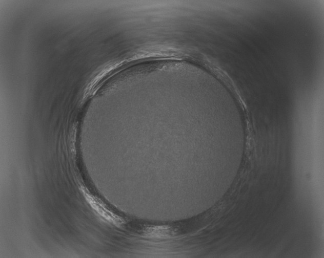 X0000085840058200703161402