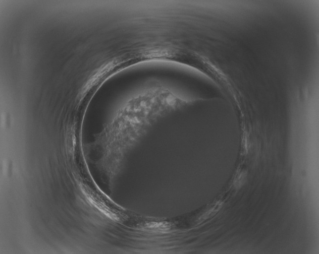 X0000085840059200703161402