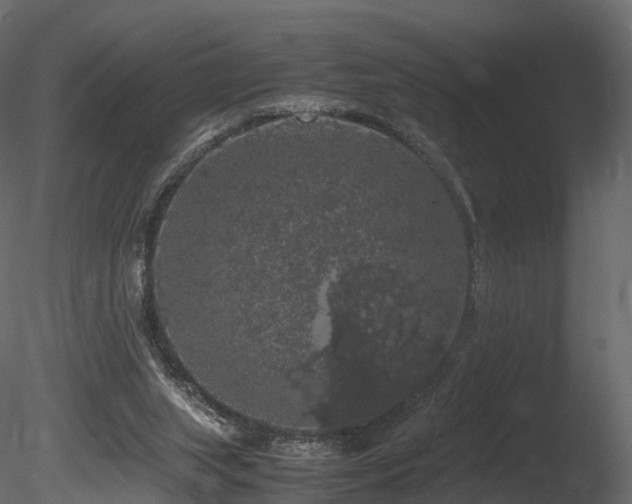 X0000085840063200703161402