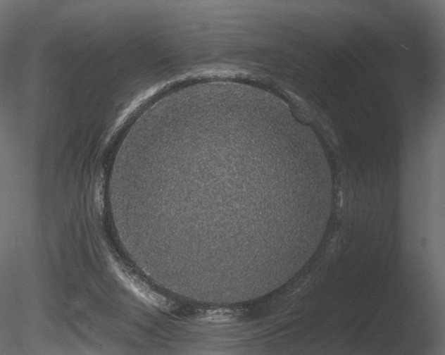 X0000085840064200703161402