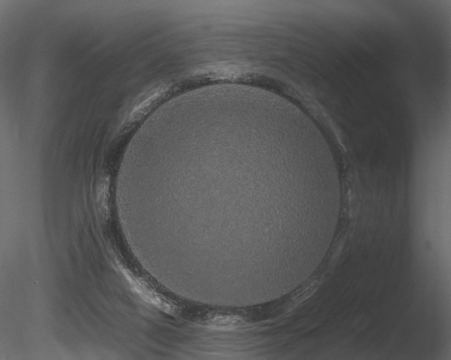 X0000085840066200703161402