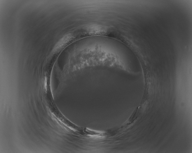 X0000085840067200703161402