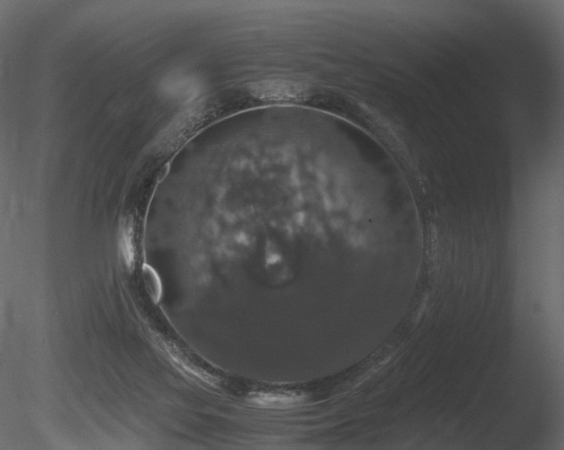 X0000085840069200703161402