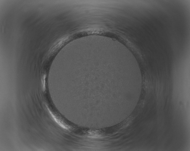 X0000085840070200703161402