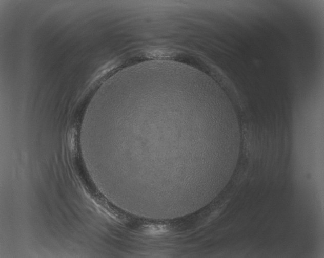 X0000085840071200703161402