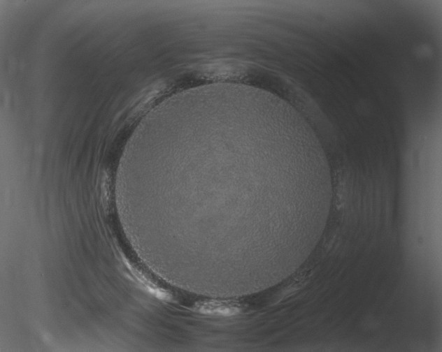 X0000085840077200703161402