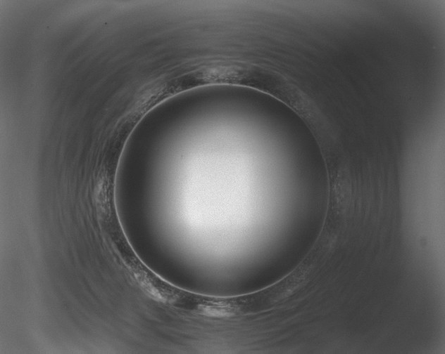 X0000085840079200703161402