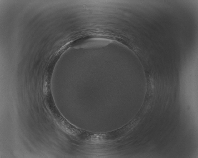 X0000085840080200703161402