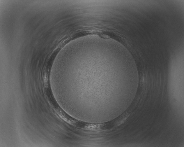 X0000085840084200703161402