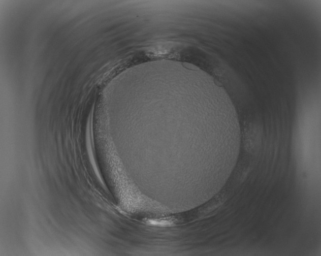 X0000085840085200703161402