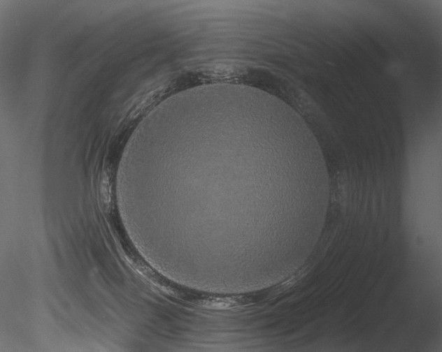 X0000085840086200703161402