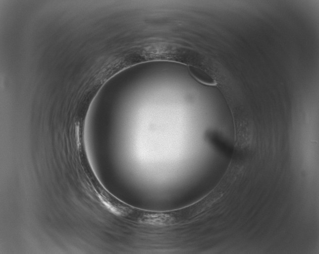 X0000085840087200703161402
