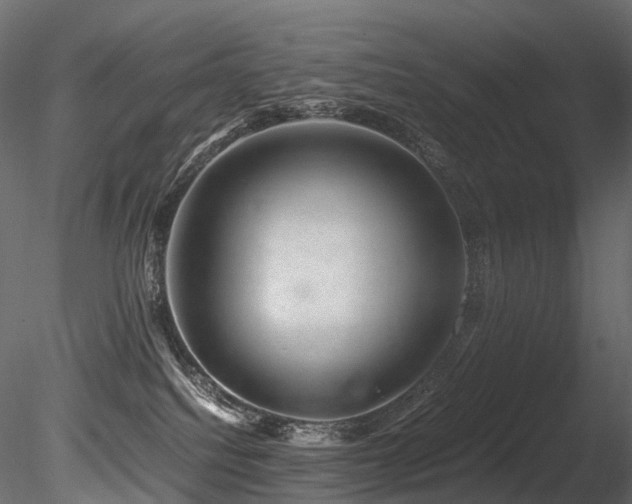 X0000085840088200703161402