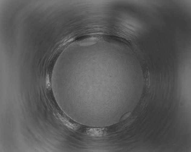 X0000085840089200703161402
