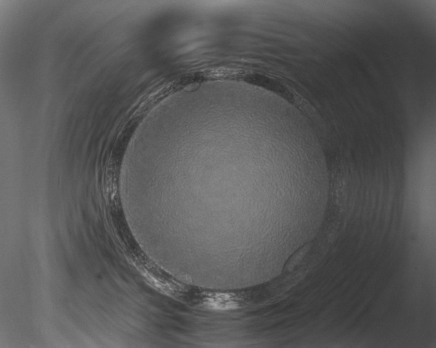 X0000085840091200703161402
