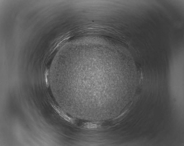 X0000085840094200703161402