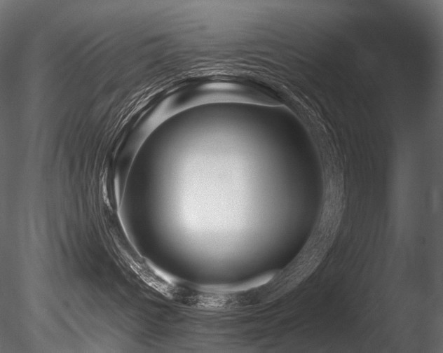 X0000085840096200703161402