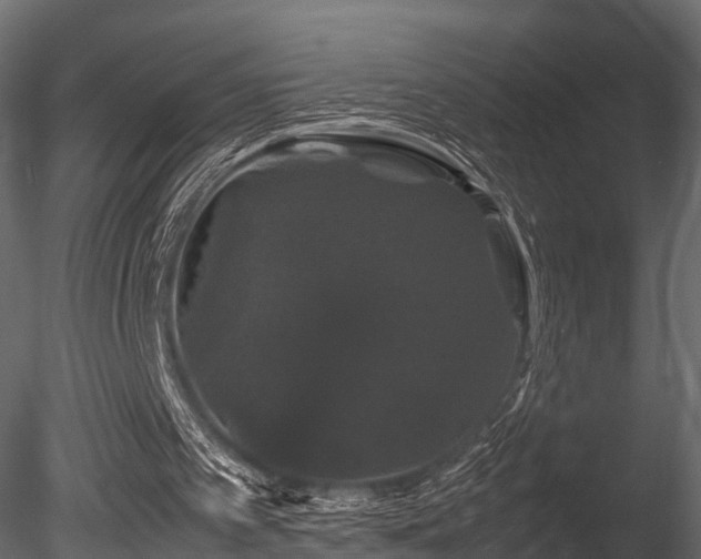 X0000085840097200703161401