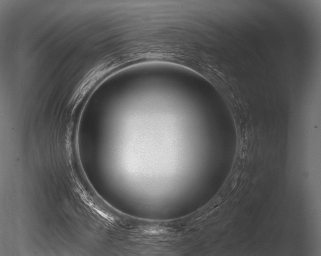 X0000085840098200703161401