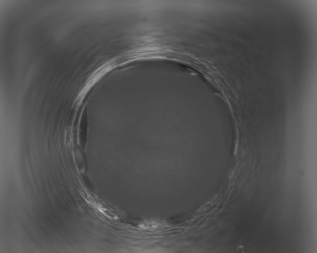X0000085840099200703161401