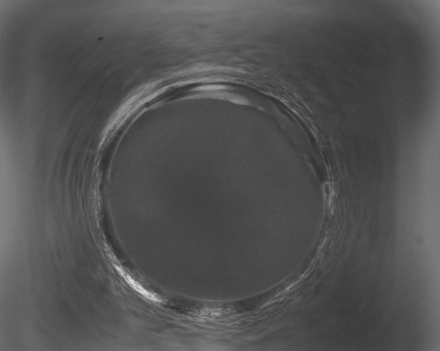 X0000085840101200703161401