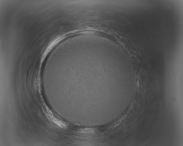 X0000085840102200703161401