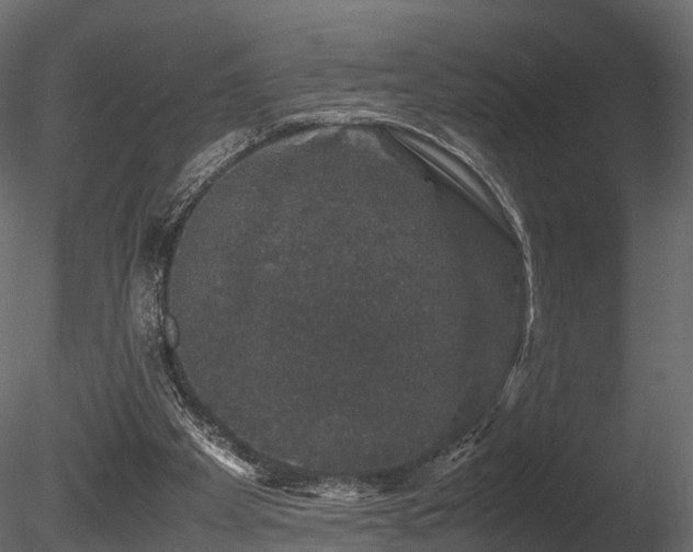 X0000085840105200703161401