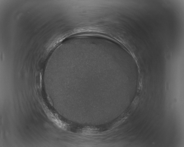 X0000085840109200703161401