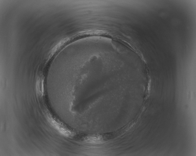 X0000085840110200703161401