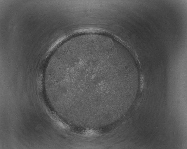 X0000085840111200703161401