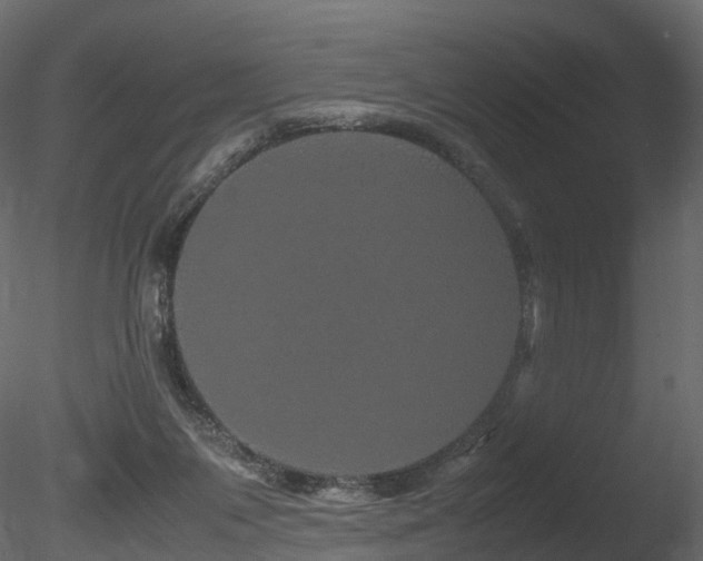 X0000085840119200703161401