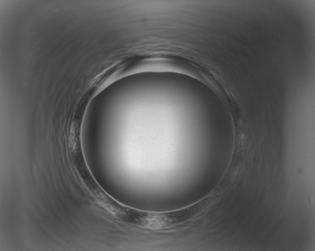 X0000085840121200703161401