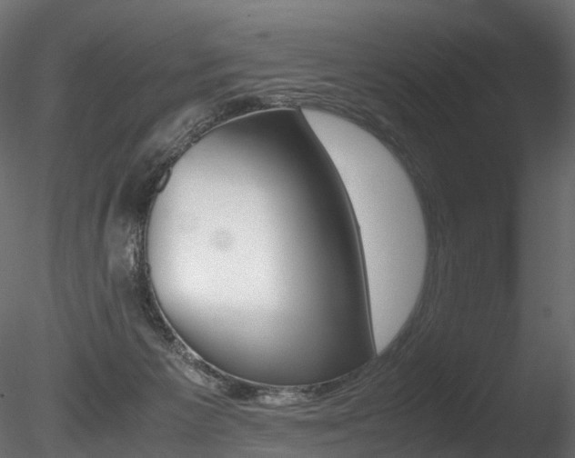 X0000085840125200703161401