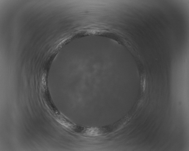 X0000085840127200703161401