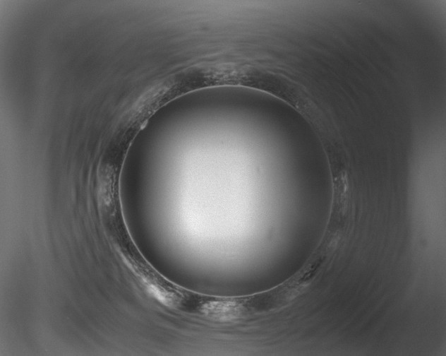 X0000085840133200703161401