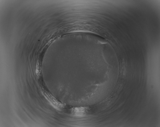 X0000085840134200703161401